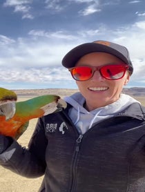 Poster for Birthday video from BirdTricks
