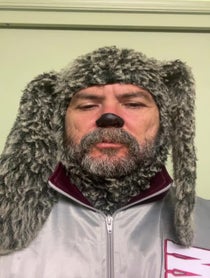 Poster for Advice video from Wilfred the dog
