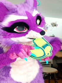 Poster for Birthday video from Zee the Raccoon