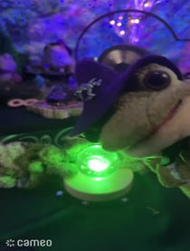 Poster for Intro video video from Wizard Frog
