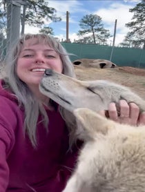 Poster for Pep Talk video from Wild Spirit Wolf Sanctuary