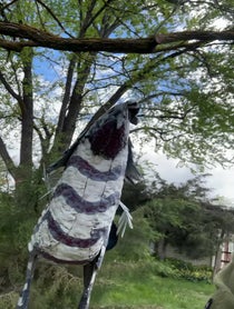 Poster for Birthday video from Mike GABLER