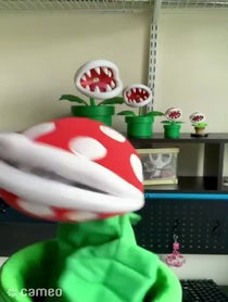 Poster for Intro video video from ThatOnePlant