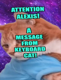 Poster for Other video from Keyboard Cat