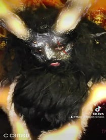 Poster for Intro video video from The Real Krampus