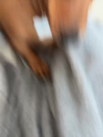 Poster for Other video from Barkley The Dog