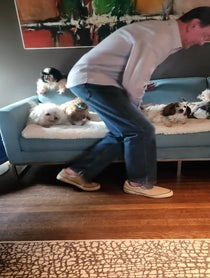 Poster for Mother's Day video from Wolfgang2242 (Steve Greig)