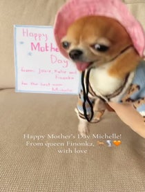 Poster for Mother's Day video from Finonka