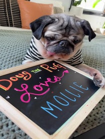 Poster for Mother's Day video from Doug The Pug