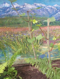 Poster for Birthday video from Ken Hall