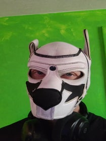 Poster for Birthday video from FoxPup