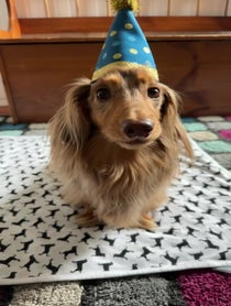 Poster for Birthday video from Roswell