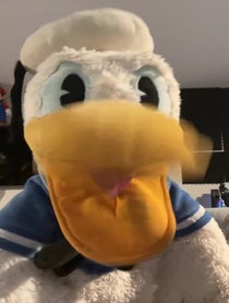 Poster for Question video from DonaldDucc 🦆