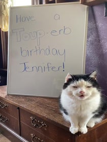 Poster for Birthday video from Toup from The Biscuit Factory