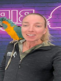Poster for Other video from BirdTricks
