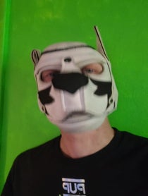 Poster for Congrats video from FoxPup