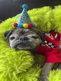 Poster for Birthday video from Keiko & Norman
