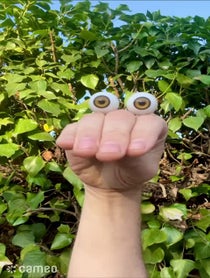 Poster for Intro video video from Oobi