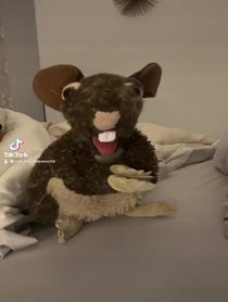 Poster for Other video from Ratattcks