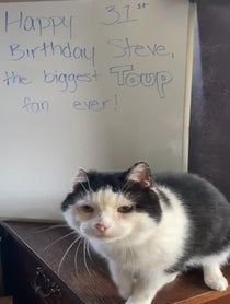 Poster for Birthday video from Toup from The Biscuit Factory