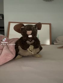 Poster for Roast video from Ratattcks