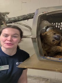 Poster for Father's Day video from Curly the Sloth at Houston Zoo