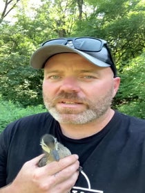 Poster for Father's Day video from Longbottom Bird Rescue