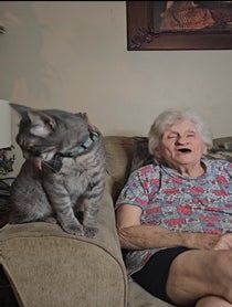 Poster for Other video from Grandmas Boy