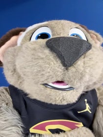 Poster for Other video from Moondog Cavs Mascot Puppet