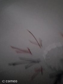 Poster for Intro video video from allmightallnight