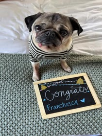 Poster for Other video from Doug The Pug