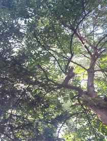 Poster for Birthday video from Ken Hall