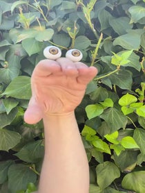 Poster for Birthday video from Oobi