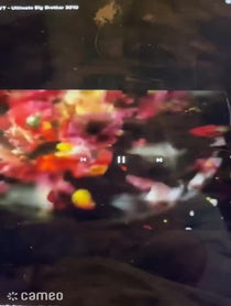 Poster for Intro video video from Nadia