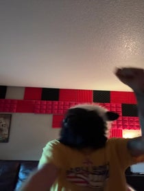 Poster for Birthday video from Rick The Sheep