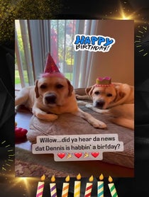 Poster for Other video from Joy of Willow and Nala