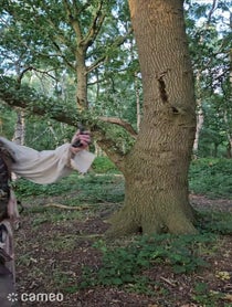Poster for Intro video video from Jack Sparrow Authentic Impersonator
