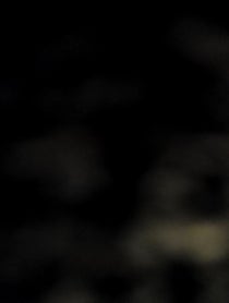 Poster for Birthday video from Brad Leland