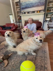 Poster for Birthday video from Along Came Polly, Rosie and Bubba