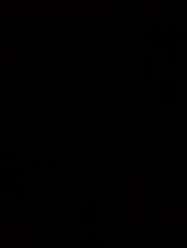 Poster for Birthday video from Reed Alexander