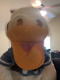 Poster for Gift video from DonaldDucc 🦆