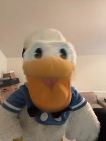 Poster for Roast video from DonaldDucc 🦆