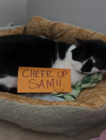 Poster for Pep Talk video from Mibicket