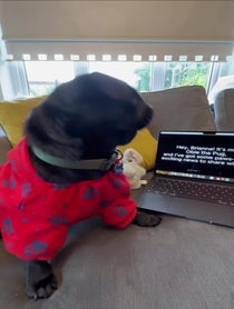 Poster for Gift video from Obie the Pug