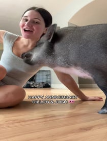 Poster for Other video from Merlin & Mina