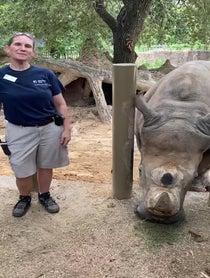 Poster for Other video from Rhinos at Houston Zoo