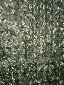 Poster for Birthday video from Lee Dahlberg