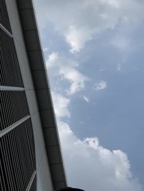 Poster for Other video from Tasteless