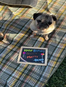 Poster for Birthday video from Doug The Pug