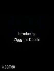 Poster for Intro video video from Ziggy the Doodle